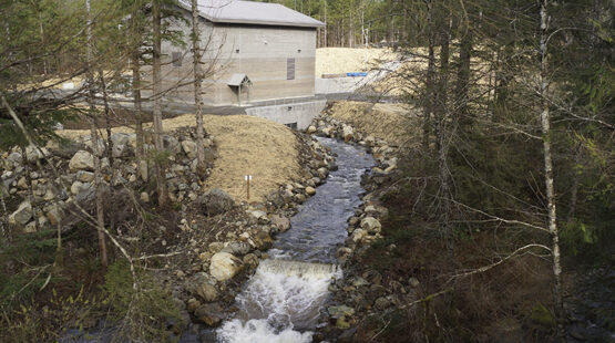 Hancock Creek Hydro tailrace