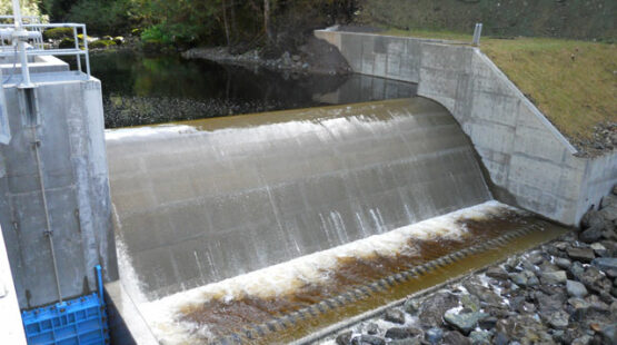 Youngs Creek Hydro Project dam