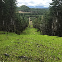 Hancock buried pipeline