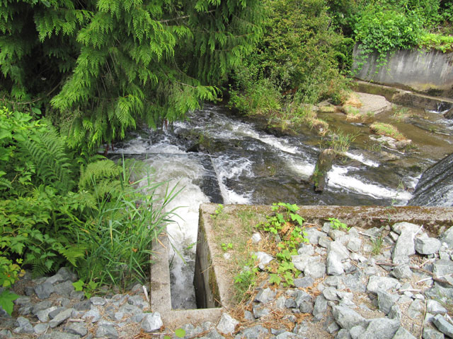 Woods Creek Hydro Project