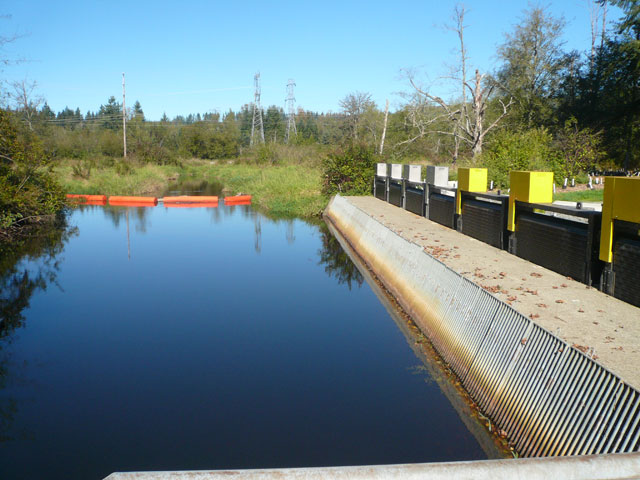 Mga screen ng isda ng Woods Creek Hydro Project