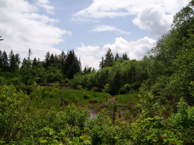 Terrenos circundantes del Proyecto Hidroeléctrico de Woods Creek