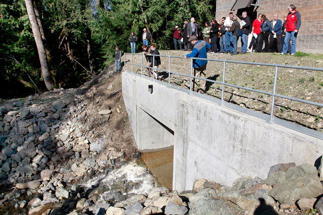 Youngs Creek Hydro Project 尾水管