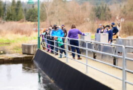 Woods Creek hydro project field trip