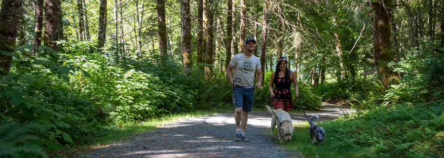 Hikers enjoy the trails near Spada Lake Reservoir