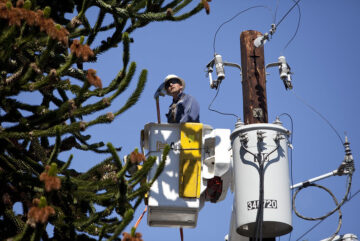 修剪樹木使樹枝遠離電源線