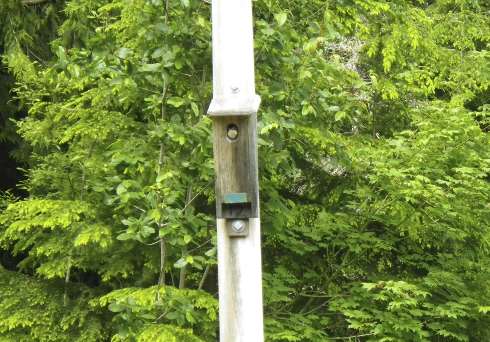 Nest box