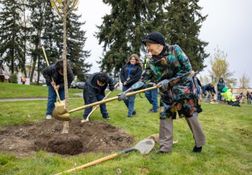 A Tree-mendous event to celebrate Arbor Day