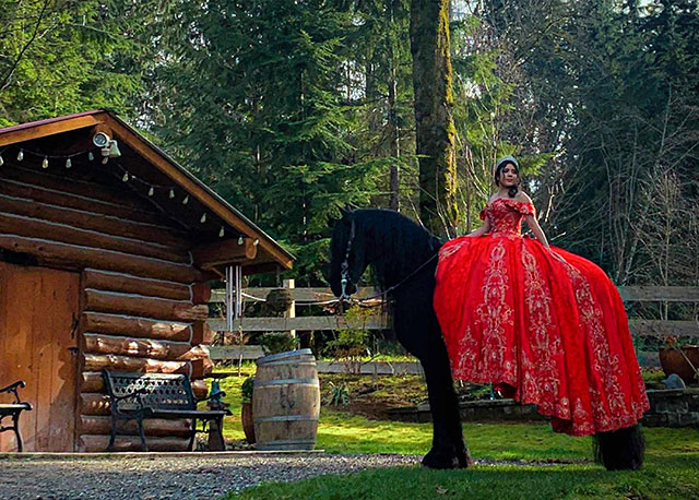 young woman in red dress on horse, alexa, grade 10