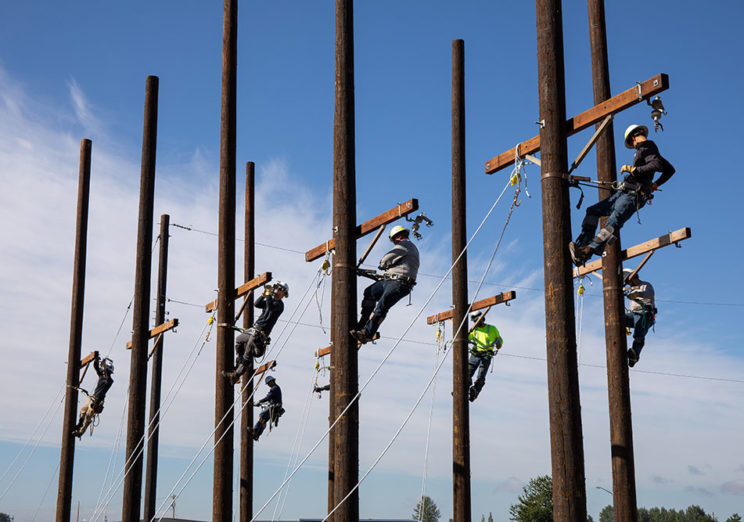 Welcome to our new line apprentices