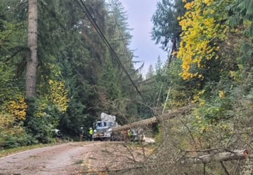 Major wind event causes damage throughout county