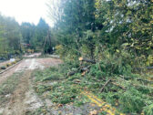 November 2022 storm damage with fallen trees and power lines