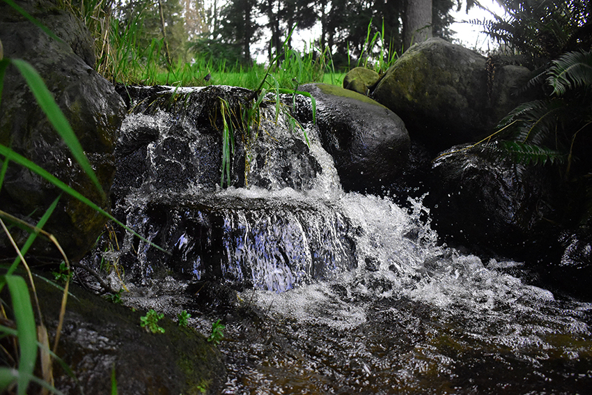 2023 high school photo contest winner - flowing forest waterfall