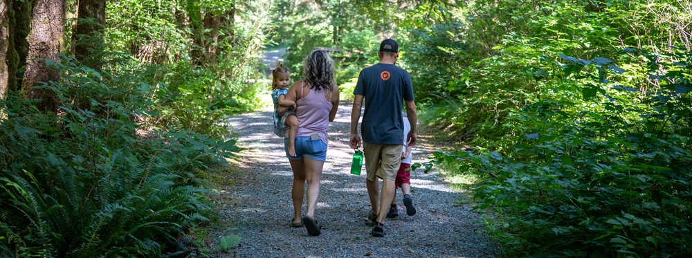 Hikers take a tree-lined trail by Spada Lake