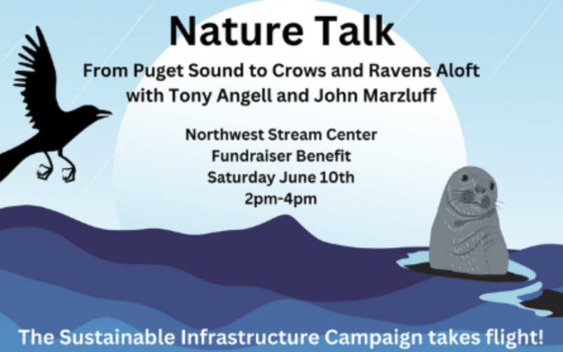 Nature Talk
