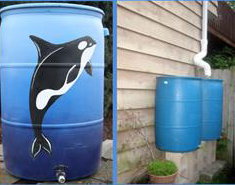 Rain Barrel Sale