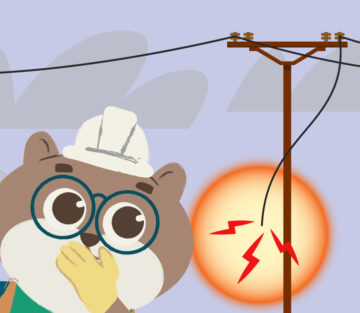 Stay safe around electricity