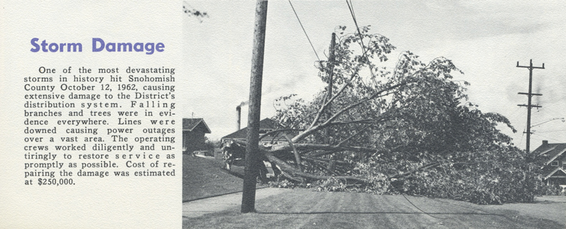Huge tree limbs rest across a road as the result of the 1962 Columbus Day storm