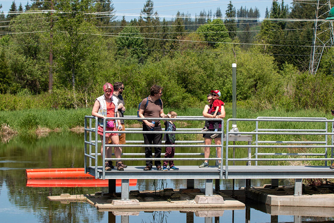 Visitors learning about hydropower at Woods Creek 