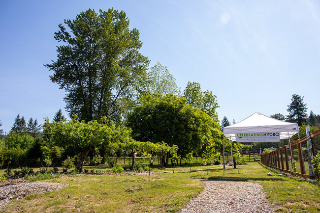 Hydro Day at Woods Creek in May 2020. Blue skies over a beautiful rural setting.