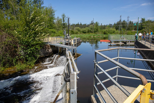 Water flows and a tranquil pond at the Woods Creek Hydroelectric Project