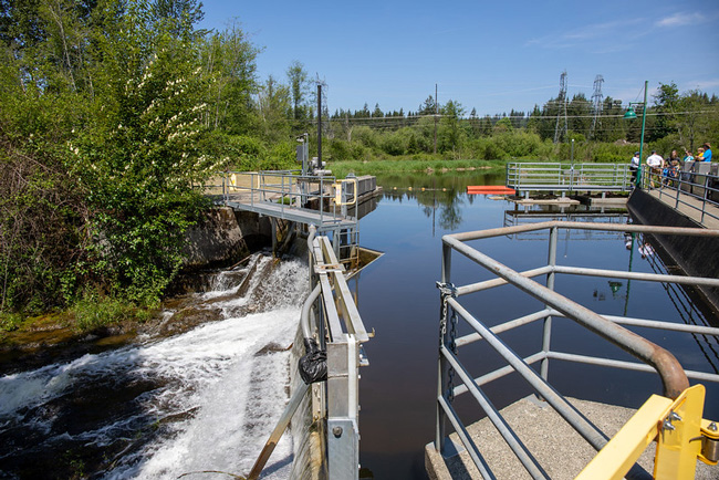 Qulqulka biyaha iyo balli deggan ee Mashruuca Hydroelectric Woods Creek