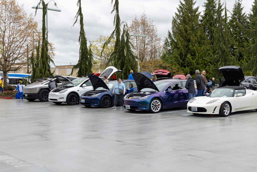 A row of EVs including several Teslas 