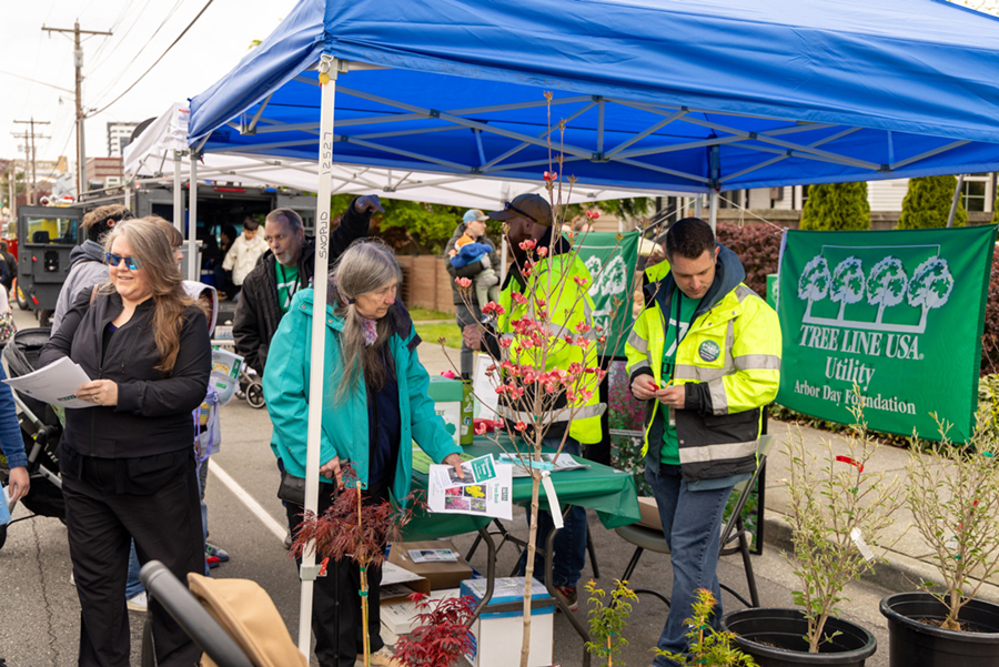 People entering to win a tree at the Energy Block Party