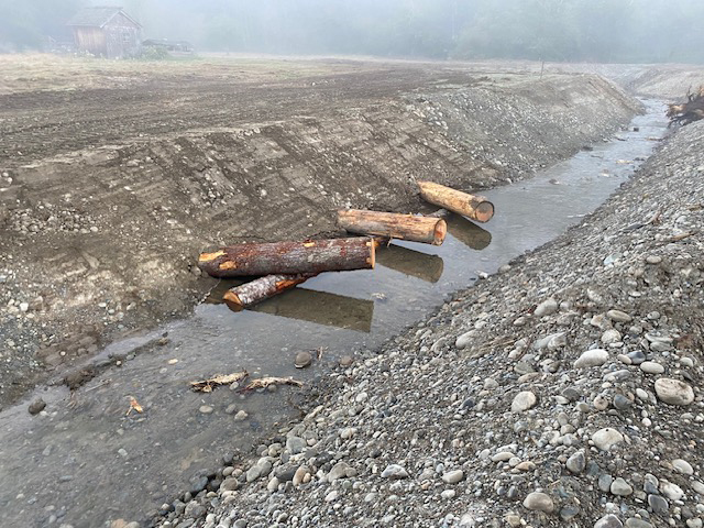 Logs strategically placed to provide hiding spots for salmon peek out from the bank of a side channel