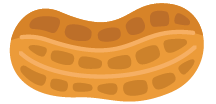 A lovely brown peanut sits waiting to be eaten