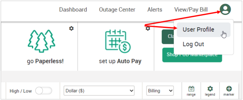 Screen shot showing location of icon and "User Profile" selection
