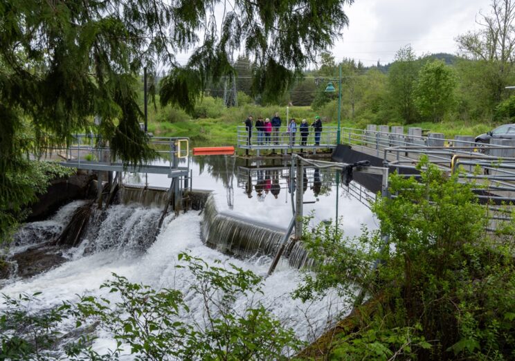Explore the Power of Water at Hydropower Appreciation Day