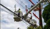 Three linemen in buckets work to install new poles on sunny day
