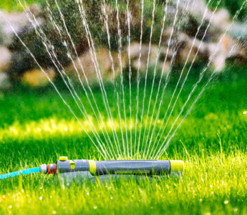 Be water wise this summer