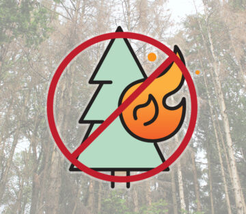 Wildfire safety