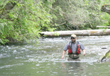 Pink Salmon Forecast Shows Skyrocketing Numbers 