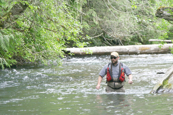 Pink Salmon Forecast Shows Skyrocketing Numbers