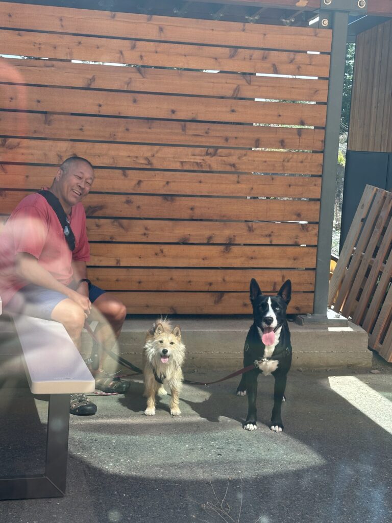 Hoon Ha sitting outside with his two dogs, one is small and fluffy, the other is dark, both are alert to the camera
