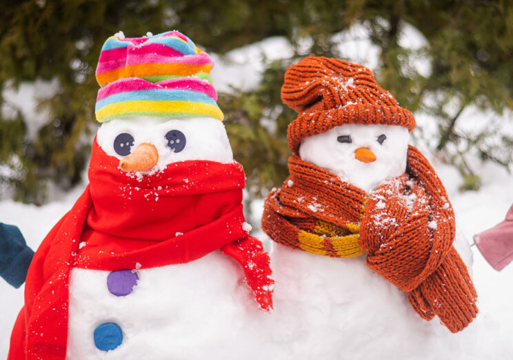 Holiday Conservation Tips