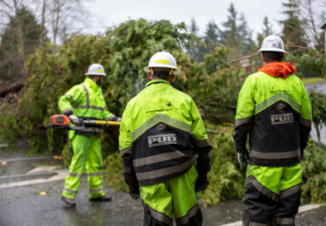 PUD Crews Working to Restore Power After Overnight Windstorm