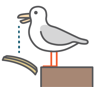 Gull dropping french fry from power pole