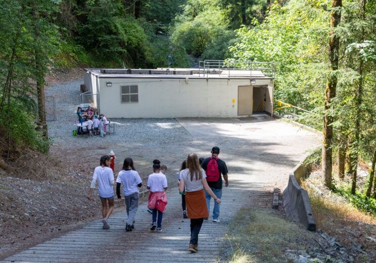 Calling all artists: PUD seeks local artist for Woods Creek Hydroelectric Mural Project