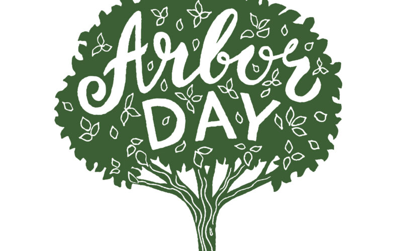 Arbor Day Tree Planting with City of Everett