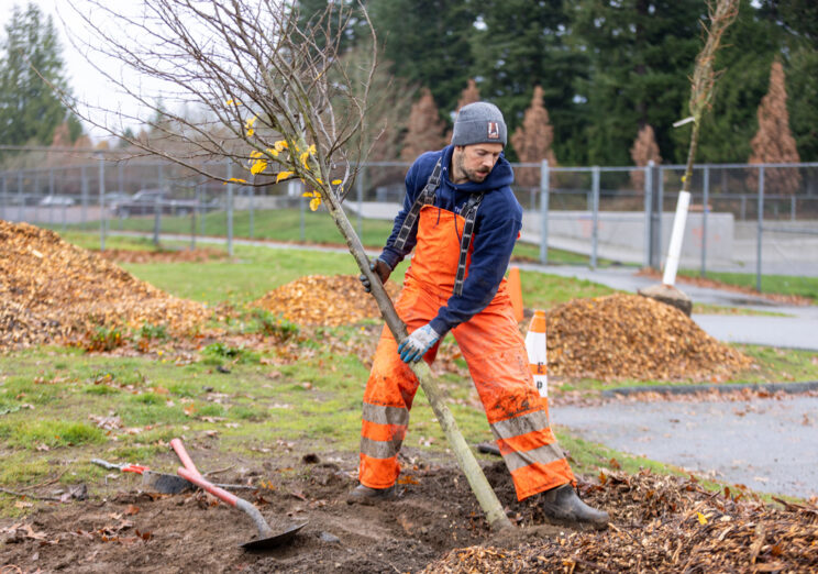 Applications for Snohomish County PUD’s TREE Power Program Open Soon