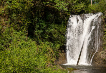 See Water in Action at the PUD’s Hydropower Appreciation Days