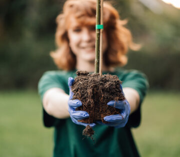 Call before you dig!