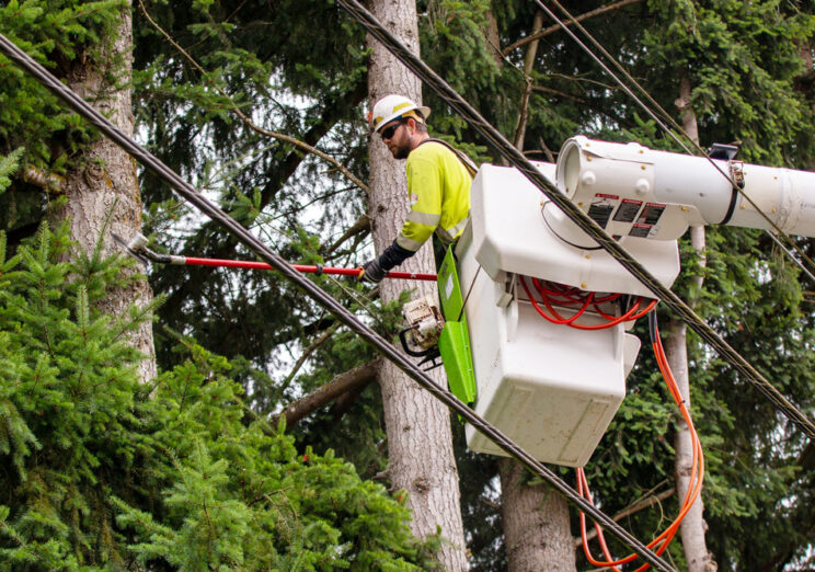 Wildfire Awareness Month is a Good Reminder to Start Preparing