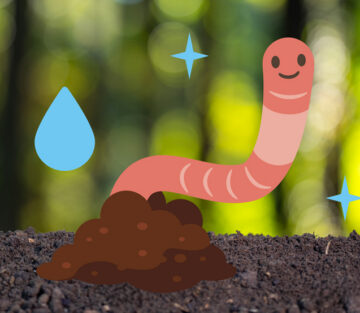 Easy Ways to Save: Better Soil