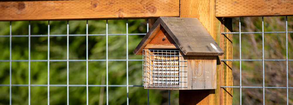 A bee house hanging from a rural fence