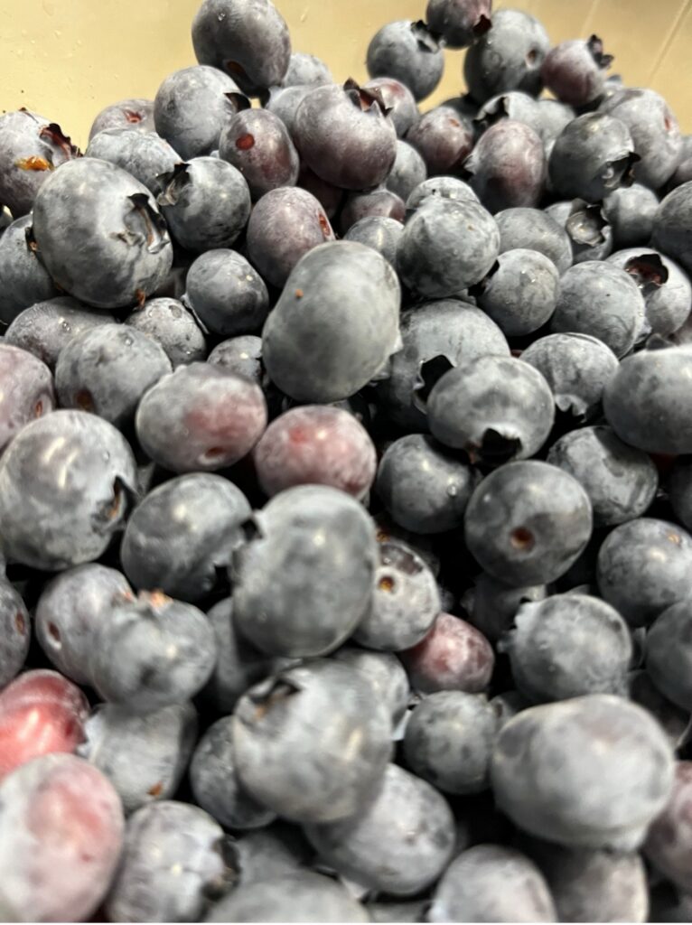 Close up of plump blueberries